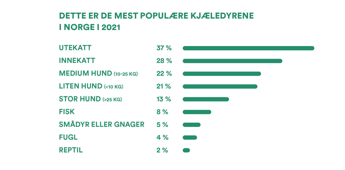 De mest populære kjæledyrene