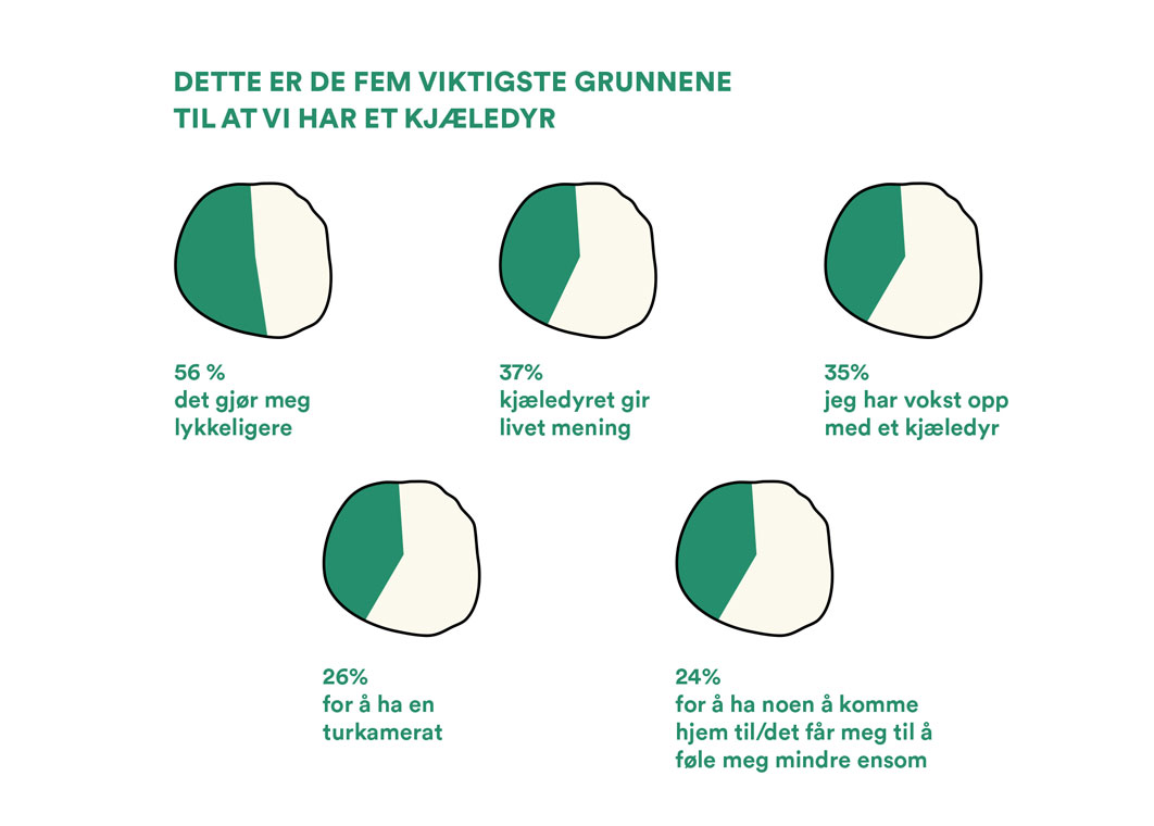 Fem viktigste grunner til at vi skaffer kjæledyr